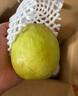 京鮮生 新疆庫爾勒香梨 凈重5斤 一級 單果100g-120g  生鮮水果 曬單實(shí)拍圖