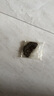 愛瑞德汽油鋸電鋸鏈條配件直角鏈條 10寸合金鏈條 曬單實拍圖