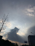 鮮到鮮得 冷凍舟山帶魚(yú)段凈重4.2斤 精選純中段 刀魚(yú) 生鮮 中秋 曬單實(shí)拍圖