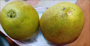 京鮮生 云南西雙版納傣柚2粒裝 單果600g+ 中秋水果 源頭直發(fā)包郵 曬單實(shí)拍圖