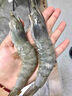 鮮京采 厄瓜多爾白蝦 凈重3斤/盒 特大號(hào)20-30規(guī)格   30-45只/盒 曬單實(shí)拍圖