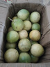 純香果欽蜜9號(hào)黃金百香果3斤新鮮水果當(dāng)季整箱百香果甜口孕婦水果包郵0 3斤中果單果60g+ 曬單實(shí)拍圖