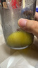 膳魔師（THERMOS）榨汁機原汁機渣汁分離小型家用果汁機便攜式水果蔬菜全自動料理機多功能大容量口徑商用打炸汁杯桶 【99%純汁率】象牙白 曬單實拍圖