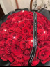 維爾斯全國鮮花同城配送紅玫瑰花束送女生朋友生日禮物小時(shí)達表白訂婚 99朵紅玫瑰【護花使者】 大型花束需提前預定 曬單實(shí)拍圖