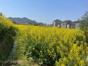 奧妙除菌除螨洗衣液 快速潔凈除菌持久留香酵素去污漬袋裝組合補充裝 12斤【99%除菌率】 曬單實拍圖