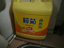 欖菊洗潔精大桶5kg 菊之語(yǔ)檸檬去油果蔬清洗劑餐具食品用級(jí)別洗滌靈 曬單實(shí)拍圖