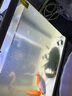 森森 小鯉魚(yú)缸過(guò)濾器凈水循環(huán)三合一內置水族箱過(guò)濾系統XQP-500F 6W 曬單實(shí)拍圖