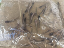 埃及魚(yú)苗快大型革胡子鯰魚(yú)苗活體塘鲺胡子鯰魚(yú)苗埃及塘虱活體飼料 5-7厘米埃及苗塘鲺 50條贈送10%路損 曬單實(shí)拍圖