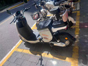 立馬【東哥送年貨同款】電動自行車CG-3 80公里續(xù)航電動車寧德時代汽車級鋰電池48V24Ah電瓶車 咖 曬單實拍圖
