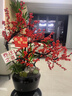 鮮花情同城專(zhuān)人配送蝴蝶蘭大花蕙蘭北美冬青大盆花卉喬遷爸媽長(cháng)輩禮物 北美冬青【恭賀新禧】-底盆隨機可選 同城專(zhuān)人送花到家-當天達-也可預定日期 曬單實(shí)拍圖