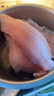 賣(mài)魚(yú)七郎冷凍海南鯛魚(yú)柳羅非魚(yú)片凈重3.3斤去骨去刺 生鮮魚(yú)類(lèi) 火鍋食材 曬單實(shí)拍圖