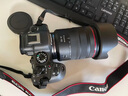 佳能（Canon）EOS R6 Mark II 全畫幅微單數(shù)碼相機(jī)R6二代 單機(jī)身 （約40張每秒連拍/6K超采樣4K短片） 曬單實(shí)拍圖