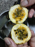 廣西欽蜜9號黃金百香果萬澄當季新鮮大果黃皮果奶茶店水果 【1斤 約11-17個】單果30-45g 曬單實拍圖