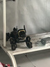 索迪rc遙控汽車(chē)機器狗兒童玩具男孩ai智能變形機器人小孩周歲生日禮物 曬單實(shí)拍圖