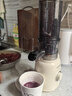 九陽(yáng)（Joyoung）【政府補貼】NFC榨汁機原汁機 家用多功能電動(dòng)冰淇淋機全自動(dòng)冷壓榨果汁果蔬機渣汁分離Z5-LZ550  曬單實(shí)拍圖