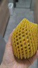 佳沛（zespri）新西蘭 陽光金奇異果12粒禮盒特大果單果約122-146g 獼猴桃 水果 曬單實拍圖