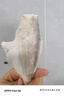 諭伍哥黃金耗兒魚新鮮海捕冷凍馬面魚扒皮魚剝皮魚火鍋食材魚類工廠直銷 黃金耗兒魚3斤 4條左右/斤 曬單實(shí)拍圖