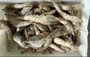 鮮享純【青島蝦】超大蝦新鮮大蝦冷凍鮮活青島大蝦批發(fā)整箱基圍蝦青蝦 15-17厘米鮮蝦速凍 3斤(凈重) 曬單實(shí)拍圖