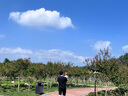 裘真植鞣（胎牛皮）元寶保齡球包復古大容量單肩斜挎通勤包女 咖啡色-大號(胎牛皮） 曬單實(shí)拍圖