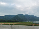 章光101防脫香波洗發(fā)水減少脫發(fā)控油蓬松強韌護發(fā)固發(fā)防斷發(fā)男女生通用 【防脫升級款】洗發(fā)水 360g*1瓶 【防脫固發(fā)】 曬單實拍圖