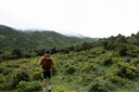 Naturehike挪客蟬翼鴨絨羽絨睡袋成人戶外露營(yíng)過夜防寒保暖輕量化便攜被子 曬單實(shí)拍圖