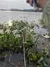 阿尤布夜釣燈激光大炮夜釣燈激光強光釣魚(yú)燈紫光臺釣藍光四光源垂釣魚(yú) 雙光源50時(shí)+感應餌燈+釣箱支架 曬單實(shí)拍圖