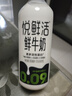 悅鮮活鮮牛奶 定期購 950ml家庭裝牛奶原生高鈣低溫鮮奶  曬單實(shí)拍圖