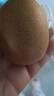 佳沛（zespri）新西蘭陽光金果10個(gè)裝獼猴桃單果重約101-124g水果獼猴桃 曬單實(shí)拍圖