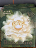 babycare金山茶花紙尿褲NB68片(<5kg)新生兒嬰兒尿不濕超薄透氣輕柔花苞褲 曬單實(shí)拍圖