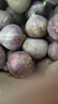 志褚獨(dú)頭蒜大蒜頭 2024云南大理紫皮獨(dú)蒜 精品新鮮現(xiàn)挖濕蒜 1斤裝【小果2.2-2.5cm】 曬單實(shí)拍圖