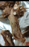 西鮮匯甘肅灘羊 原切羊排凈重5斤 羊肉生鮮羊肋排燒烤火鍋食材 源頭直發(fā) 曬單實拍圖