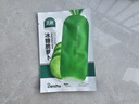 北蔬 冰糖脆水果蘿卜種子苗生吃羅卜秋季蔬菜籽 冰糖脆蘿卜種子1000粒 曬單實拍圖