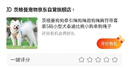 茨格曼狗狗牽引繩狗繩遛狗繩胸背帶套裝S碼小型犬泰迪比熊小狗牽狗繩子 曬單實(shí)拍圖