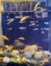 寵小俠純種孔雀魚(yú)觀(guān)賞魚(yú)好養耐活淡水小型魚(yú)熱帶魚(yú)鳳尾熱帶魚(yú)小魚(yú)苗 練手孔雀2-3cm30條（26送4備損） 曬單實(shí)拍圖