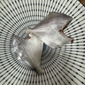 純色本味 冷凍舟山口袋鯧 700g 銀鯧魚(yú) 白鯧 平魚(yú) 地標產(chǎn)品 生鮮魚(yú)類(lèi) 曬單實(shí)拍圖