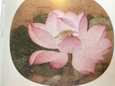 墨點美術(shù)·宋代名家作品畫冊宋人花鳥小品國畫賞析工筆畫花鳥圖素材山鳥花蜻蜓出水芙蓉猿猴摘果圖 曬單實拍圖