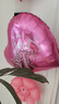 多美憶生日場(chǎng)景布置女孩生日氣球兒童道具氛圍裝飾快樂(lè )桌飄裝扮粉色套餐 曬單實(shí)拍圖