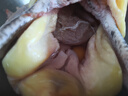 正宗黃油老母雞煲湯新鮮雞肉農家散養老母雞走地雞煲湯整只 黃油老母雞2.5斤/只*2只 曬單實(shí)拍圖