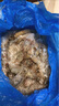 百鮮洽超大蝦新鮮大蝦冷凍鮮活青島大蝦批發(fā)整箱基圍蝦青蝦 【特大蝦王17-21cm】 3斤(凈重) 曬單實(shí)拍圖