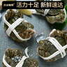 【活蟹】漁家師傅大閘蟹全母3.0-3.3兩8只去繩足重鮮活螃蟹現貨生鮮水產(chǎn)海鮮禮盒 曬單實(shí)拍圖