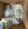 可悠然【丁禹兮同款】和風(fēng)茶庭沐浴露大黃瓶550ml 美肌香氛滋潤保濕清爽 曬單實(shí)拍圖