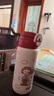 貝親兒童保溫杯水杯吸管杯600ml學(xué)飲杯316不銹鋼學(xué)生miiiiichan聯(lián)名款 一蓋雙飲+杯套背帶（全家福） 曬單實(shí)拍圖