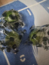 【獨立包裝】新鮮現摘青檸檬非無(wú)籽檸檬茶飲搭檔 單果80克 青檸檬1粒嘗鮮裝 曬單實(shí)拍圖