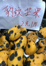 潔麗雅（Grace）純棉7A級抗菌防螨毛巾男士洗臉毛巾2條裝柔軟吸水洗澡擦臉巾 曬單實拍圖