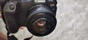 佳能（Canon）RF50F1.8人像大光圈定焦鏡頭 佳能501.8 小痰盂RF鏡頭 微單相機(jī)專(zhuān)用  曬單實(shí)拍圖