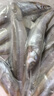 京東超市 海外直采挪威多春魚2斤(4*250g）40-50條 公母混合  燒烤魚類 曬單實拍圖