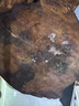 大希地芝士披薩組合 6片 共1080g 美式培根+果蔬牛肉+蜜汁雞肉各2片 曬單實(shí)拍圖