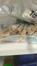 美麗雅一次性筷子碳化100雙 獨立包裝加長家用方便火鍋竹筷子 曬單實拍圖