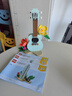 樂(lè )高（LEGO）積木拼裝31156 熱帶風(fēng)尤克里里兒童女孩女生玩具生日禮物 曬單實(shí)拍圖
