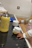 膳魔師（THERMOS）兒童保溫杯開學(xué)必備吸管杯直飲水杯小學(xué)生水壺貓狗系列3歲550ml黃 曬單實(shí)拍圖